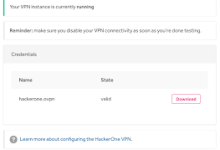 mac的vpn没有分配ip-MAC加速器推荐