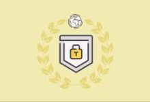 mac上什么vpn好用-MAC加速器推荐