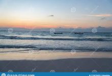 mac系统vpn设置-MAC加速器推荐