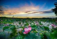 天行 free vpn for mac-MAC加速器推荐