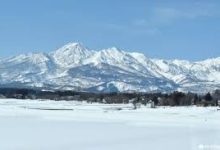 vpn for mac破解版下载-MAC加速器推荐