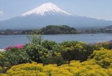 bu vpn mac-MAC加速器推荐