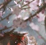 mac vpn 快捷键-MAC加速器推荐