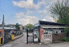 mac vpn 免费试用-MAC加速器推荐