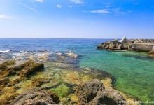 mac上的vpn软件哪个好-MAC加速器推荐