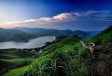 mac 能通过虚拟机的vpn-MAC加速器推荐