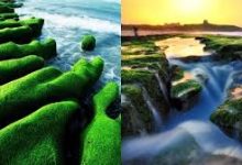 mac seirra vpn pptp-MAC加速器推荐