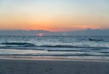 mac pptp vpn client-MAC加速器推荐