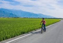 天行vpn mac版下载-MAC加速器推荐