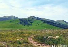 山石 vpn mac-MAC加速器推荐