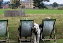 如何在mac里共享vpn-MAC加速器推荐