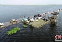 mac连接vpn后无法上网-MAC加速器推荐