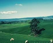 东风vpn 电脑版 mac-MAC加速器推荐