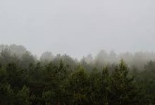 mac 自建vpn服务器-MAC加速器推荐