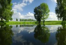 vpn18 mac-MAC加速器推荐