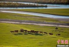 vpn 修改mac地址吗-MAC加速器推荐